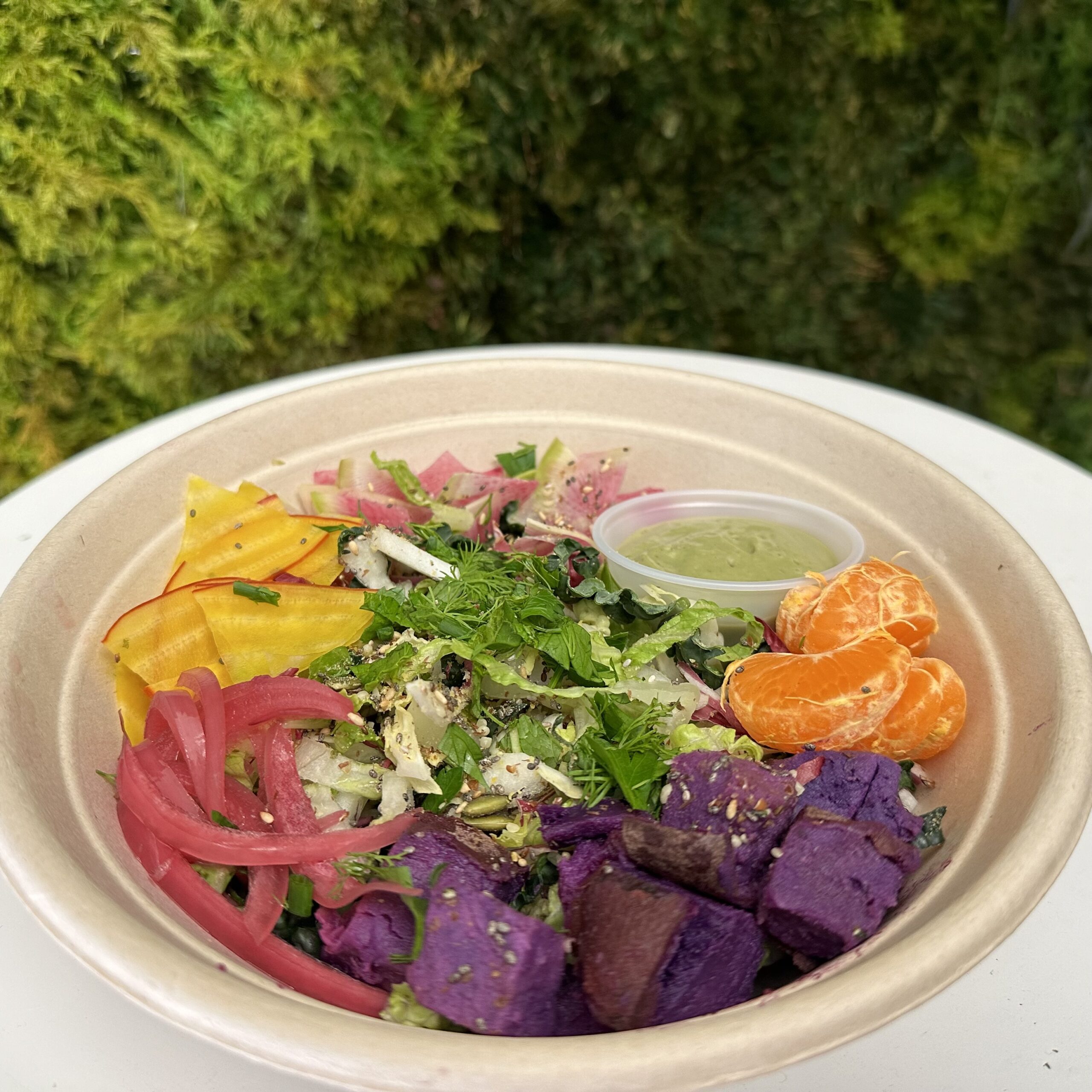 Colorful salad in front of living wall